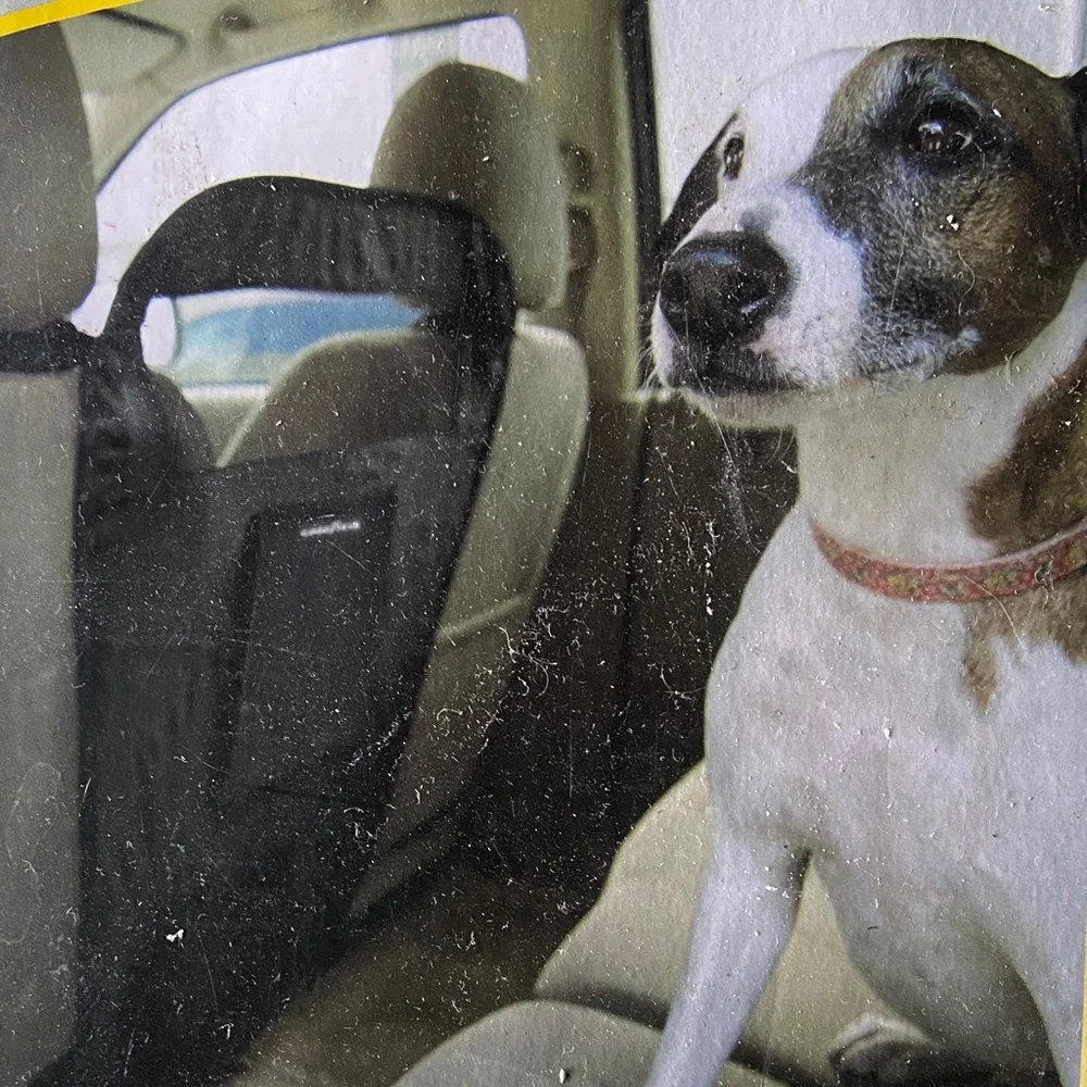 Back Seat Barrier for Pets - Black